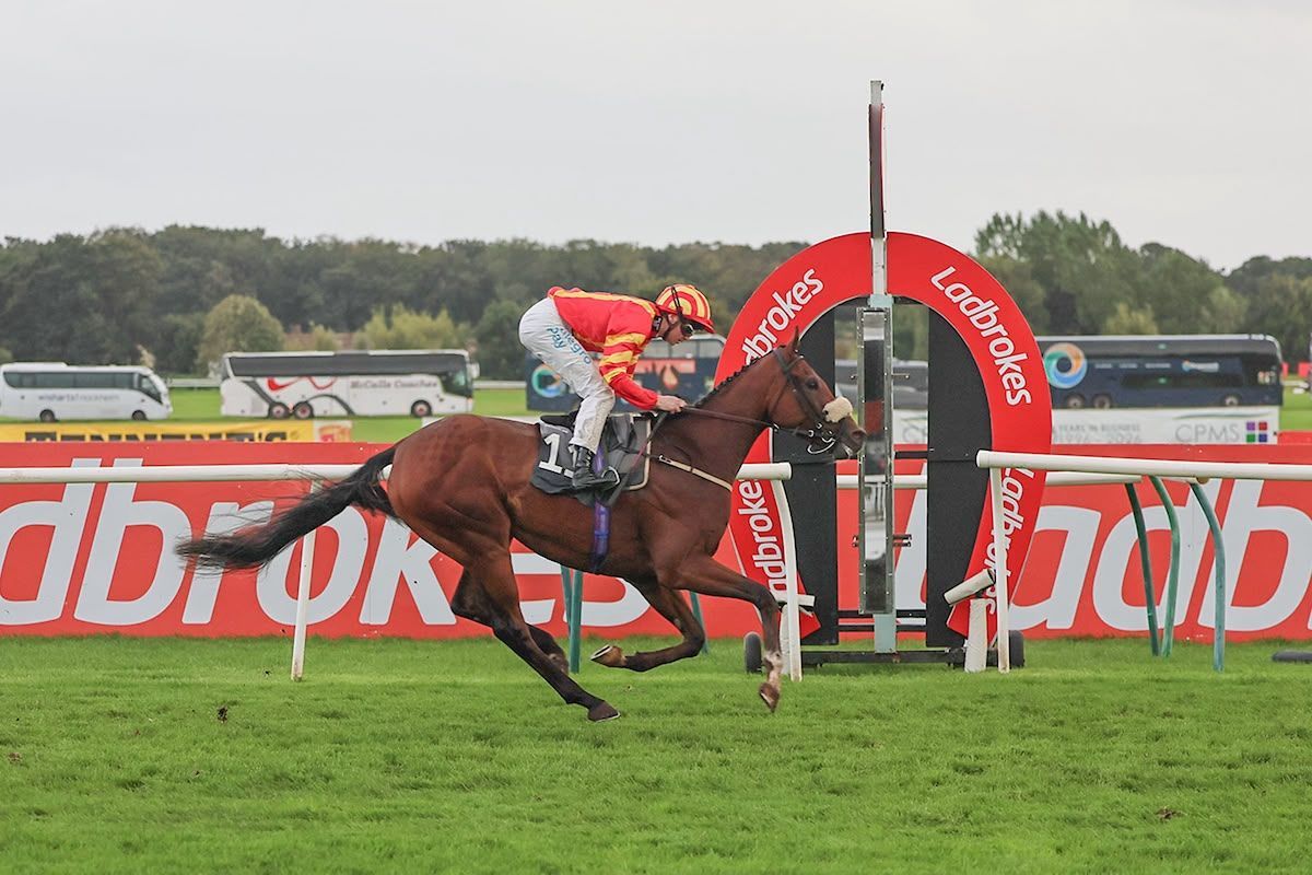 Viper winning the Jordan Electrics Handicap at Ayr on 19 September 2026, ridden by Oisin Orr